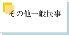 その他一般民事